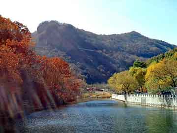 亚洲影视在线观看一区二区三区，国珍松花粉怎么样